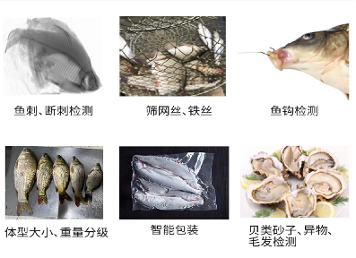 鱼刺检测专用型