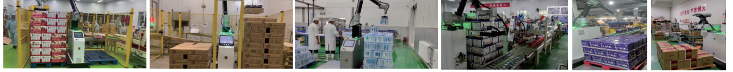 Robotic Palletizing Solution